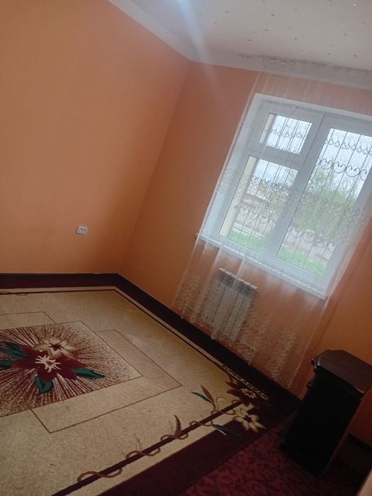 Tezda ijarachi qoyaman