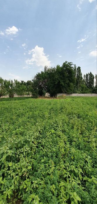 Продается Участок в таваксае