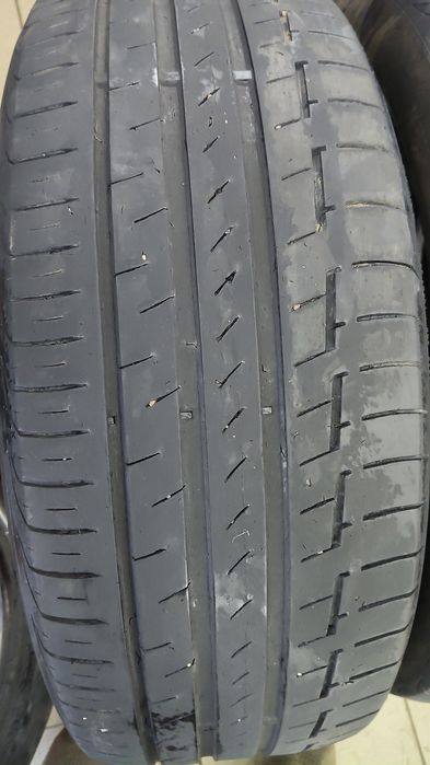 Шины континента ль лето
