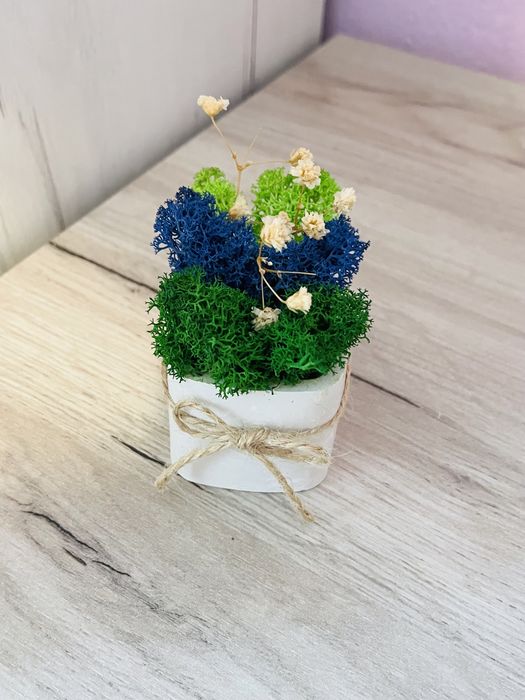 Кашпи със скандинавски мъх