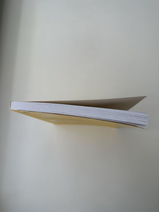 Идеальный программист