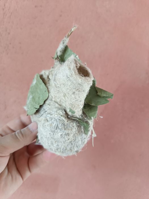 Гнездо ремеза,Куркылтайдын уясы