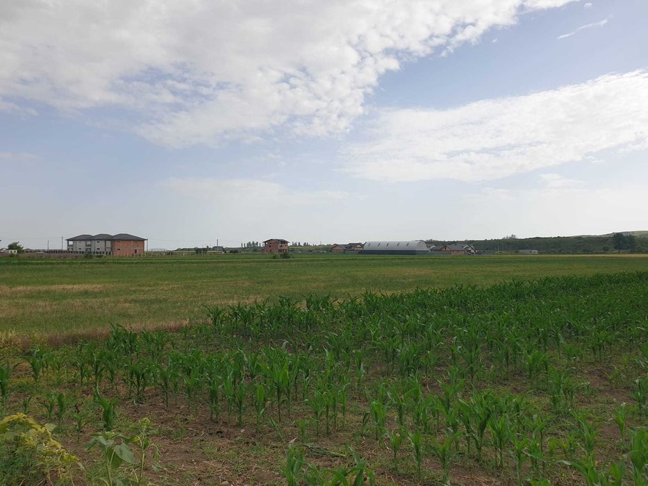 Vând teren intravilan Com. Vernești 5000 mp