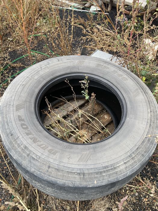 Резина на прицеп ддя фуры