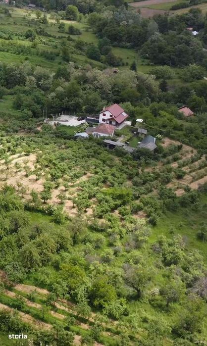 Teren 31.508 mp + Casă! 295.000 E Com. Golești, Sat Opătești, Vâlcea.