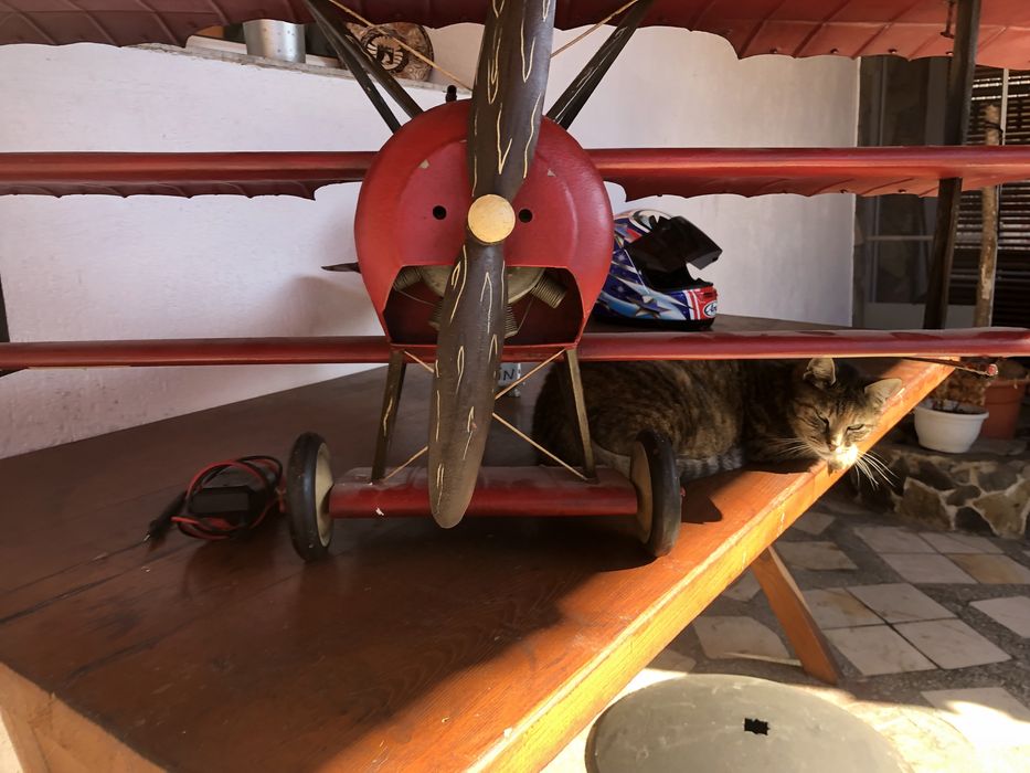 Avion fokker triplane