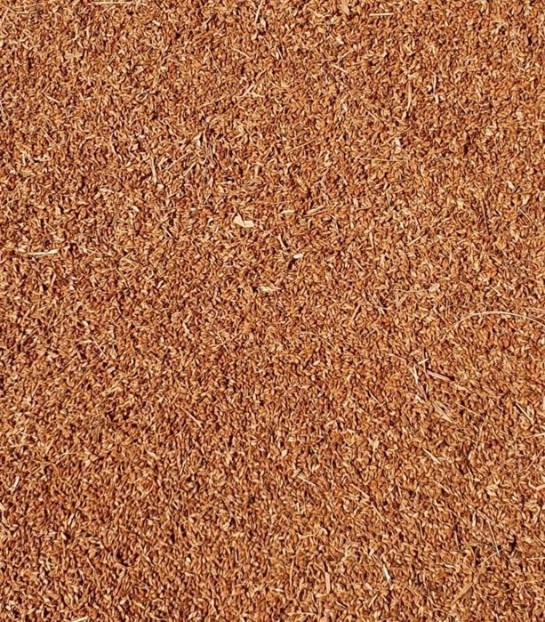 Sămânță de mături