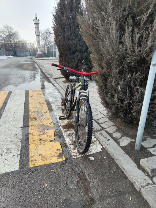 Продам стант пушка