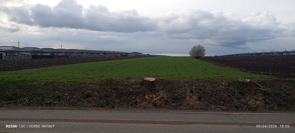 Teren Intravilan, Vorovesti 1 ha