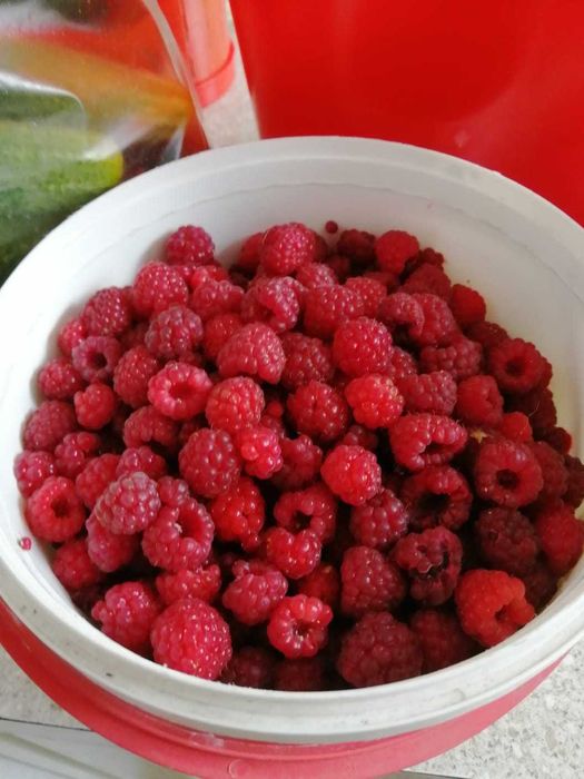 Дача в садовом обществе Горизонт