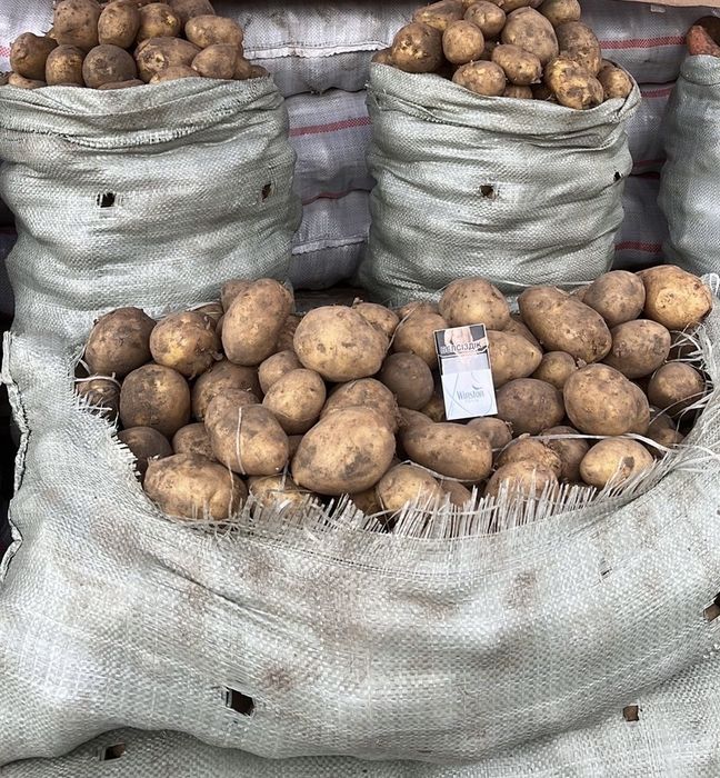 Картошка картофель