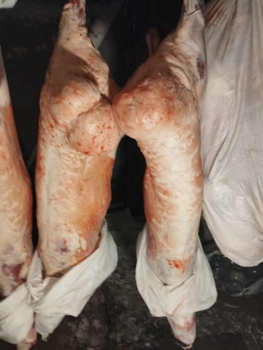 Продам мясо баранина