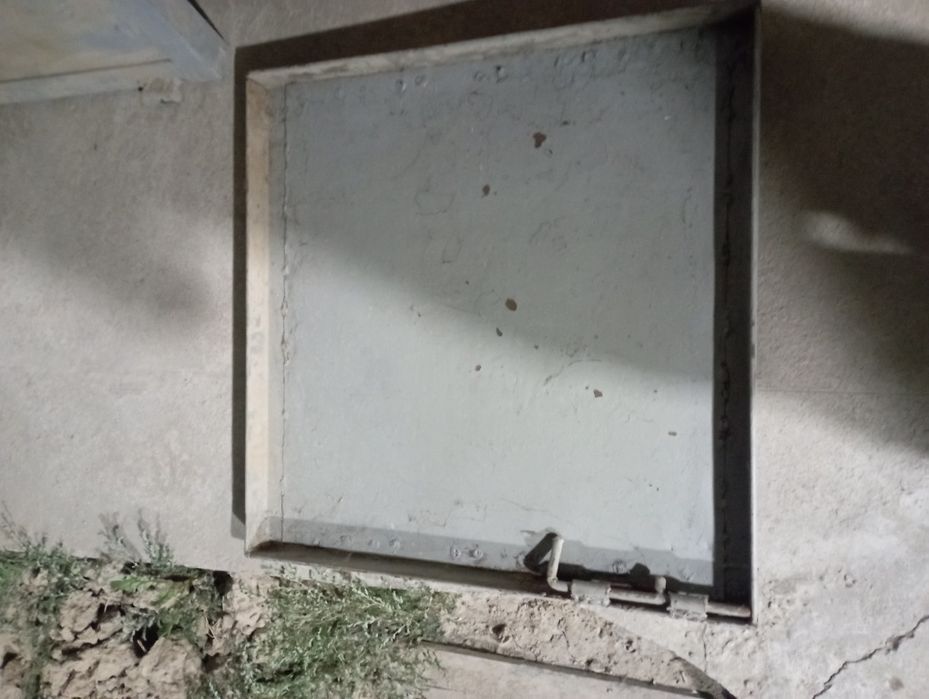 Двери железные продаются 2 штуки