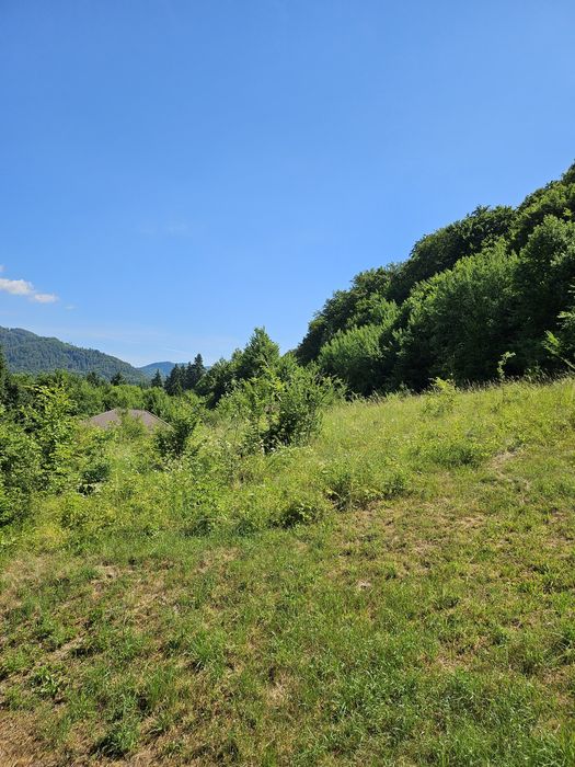 Teren intravilan Sovata Bai 3533 mp