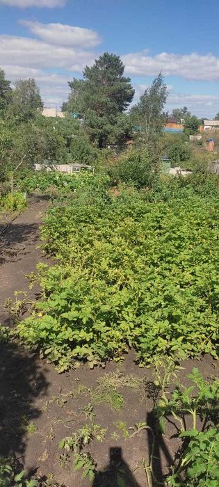 Продам дачу Красный партизан.