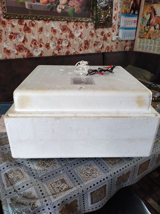 Инкубатор Золушка