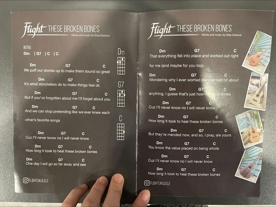 черная укулеле terris