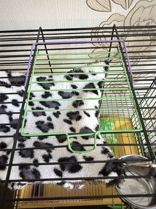 Клетка для грызунов