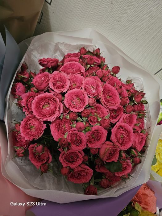 Продам цветы не дорого!