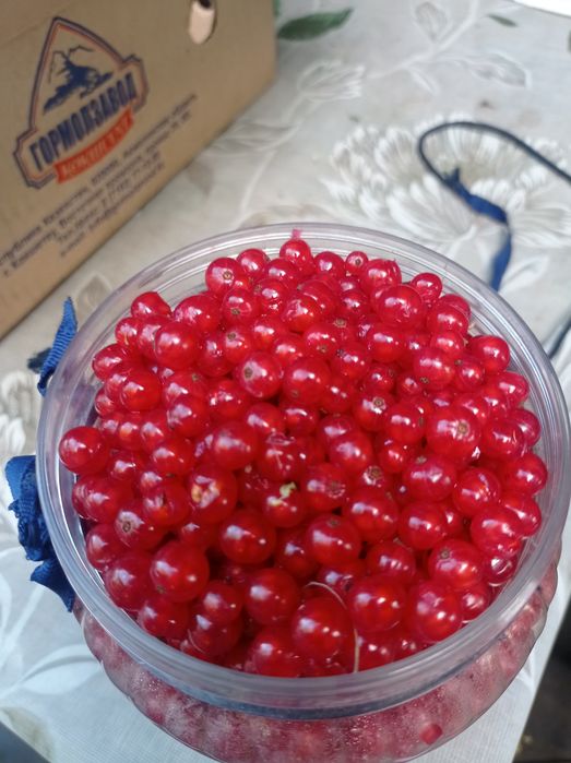 Малина , красная смородина