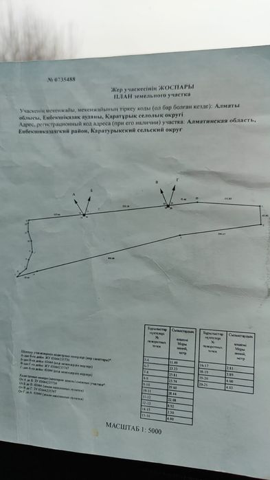 Яблоневые сады, яблоки