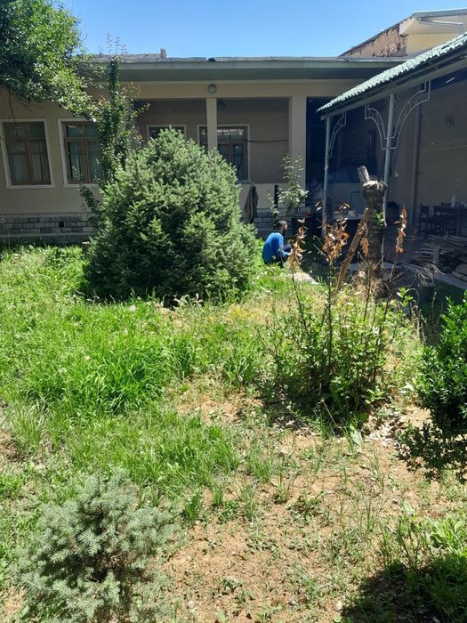 Продаётся дом Чинобод Чистый воздух в центре города