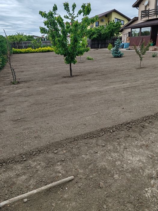 Servicii de grădinărit