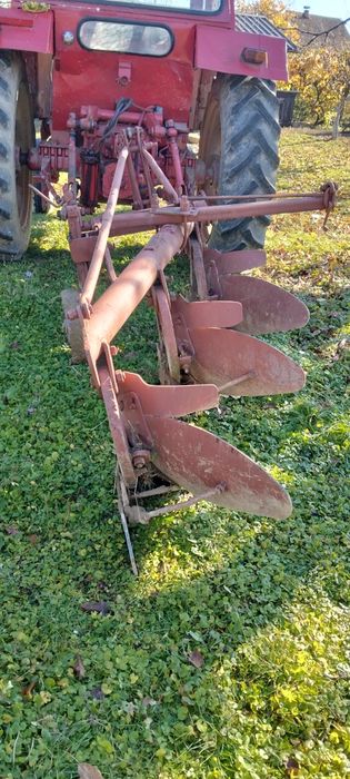 Puiet nuci viguroși și plug