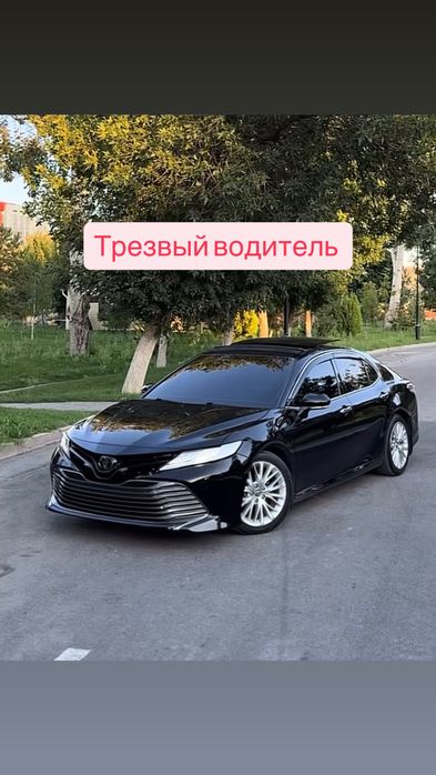 Трезвый водитель
