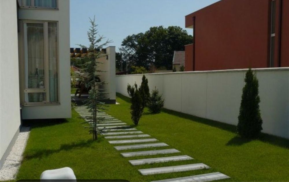 Gazon rulou  20 lei mp