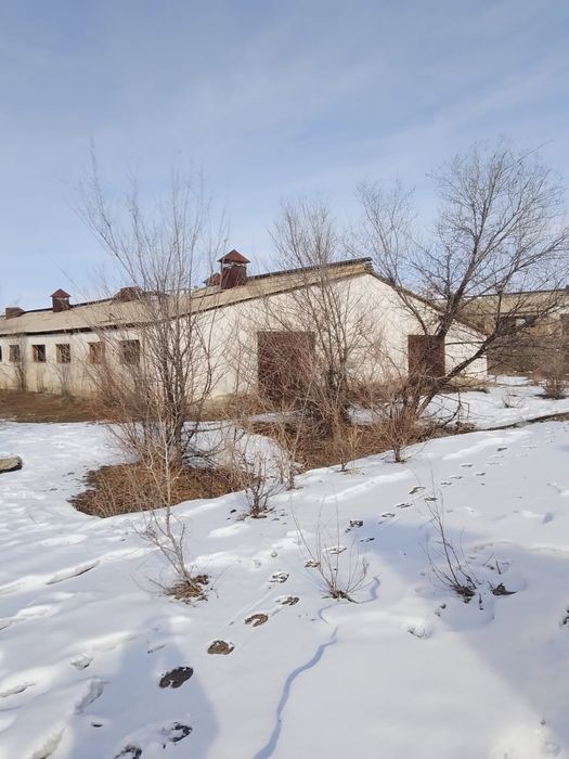 Продам базу рядом с Хоргосом