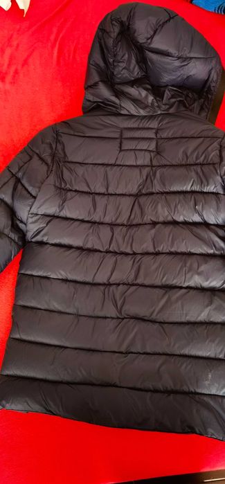 Jacheta matlasata zara