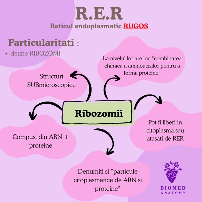 Meditatii Biologie Admitere Medicina (Barron’s + Corint)