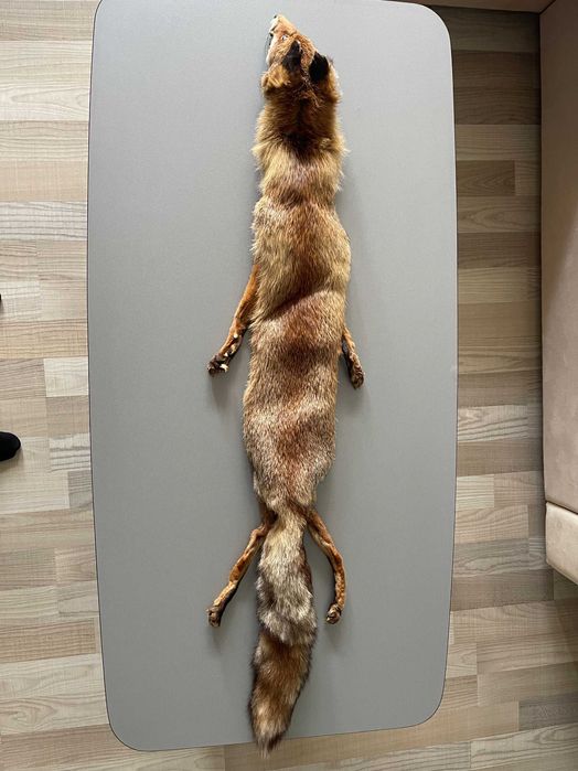 Естествена кожа от лисица (цяла).