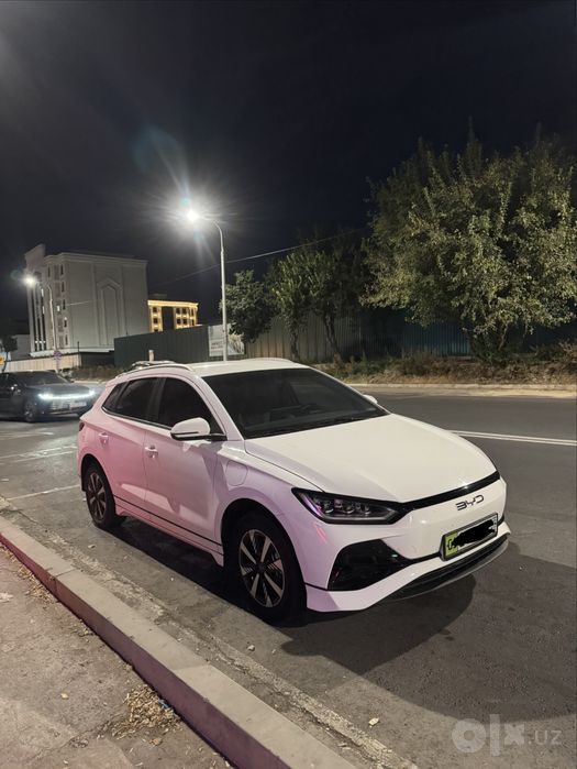 Byd e2 luxury 2024