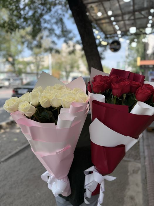 51 роза по АКЦИИ!