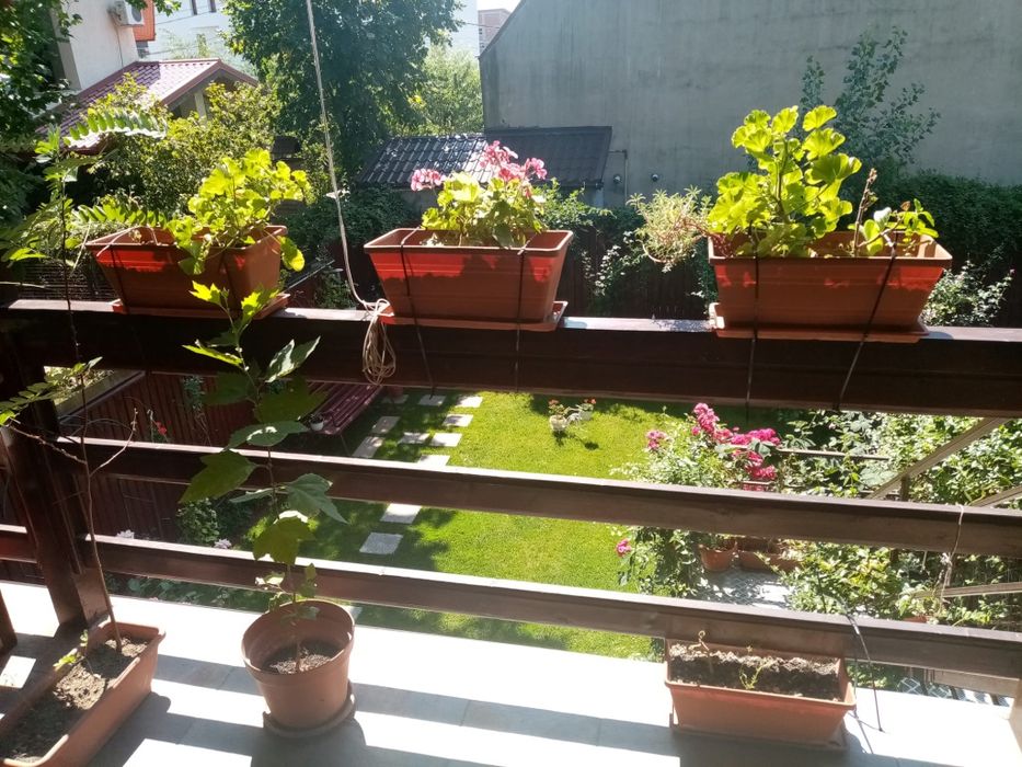 Proprietar închiriez et.1+2 in vila Roșu/Chiajna, 4 camere,2 bai,2 locuri  parcare
