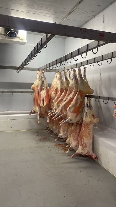 Субпродукиы говяжьи