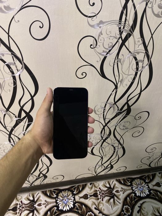Iphone 12 pro max ideal