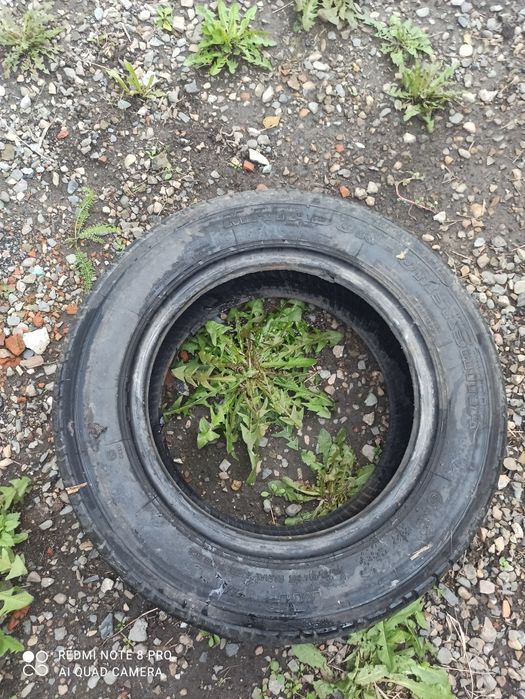 Продам летний  шину R14