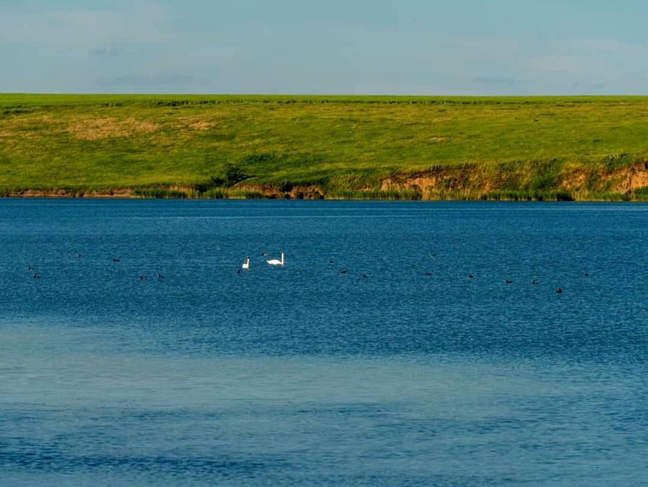 Casa la curte la 200 m de balta! La Ulmu, timpul curge altfel!