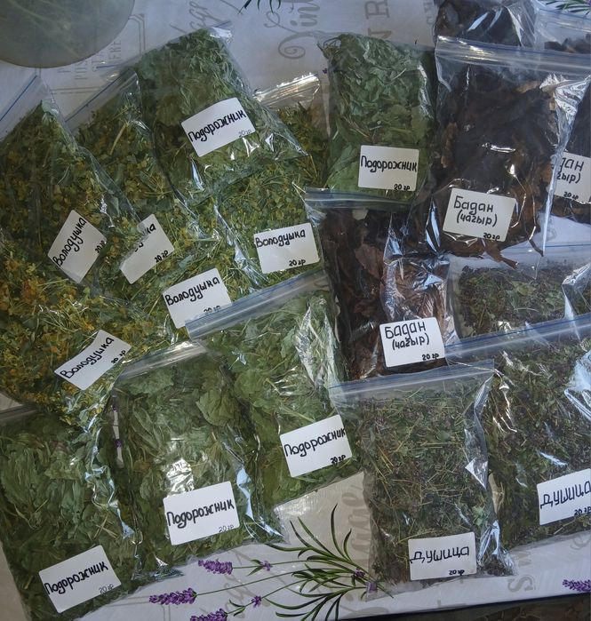 Лекарственные травы