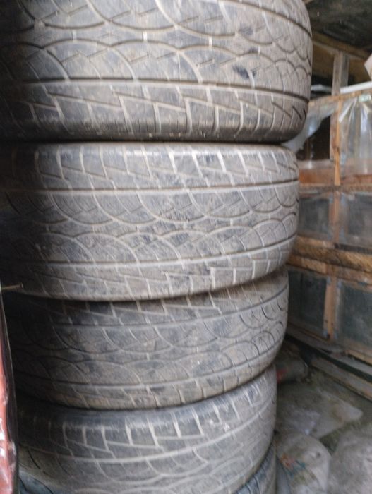 каждое по пять тысычо