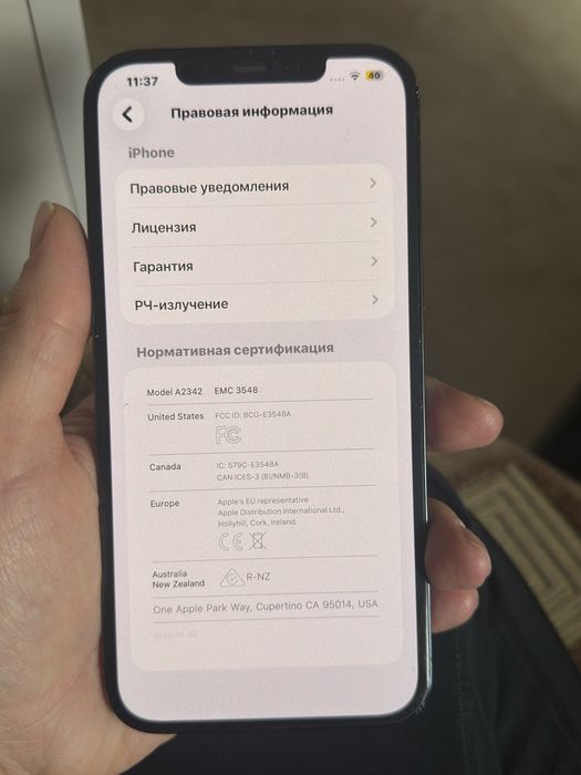 Iphone 12 Pro Max 256 GB