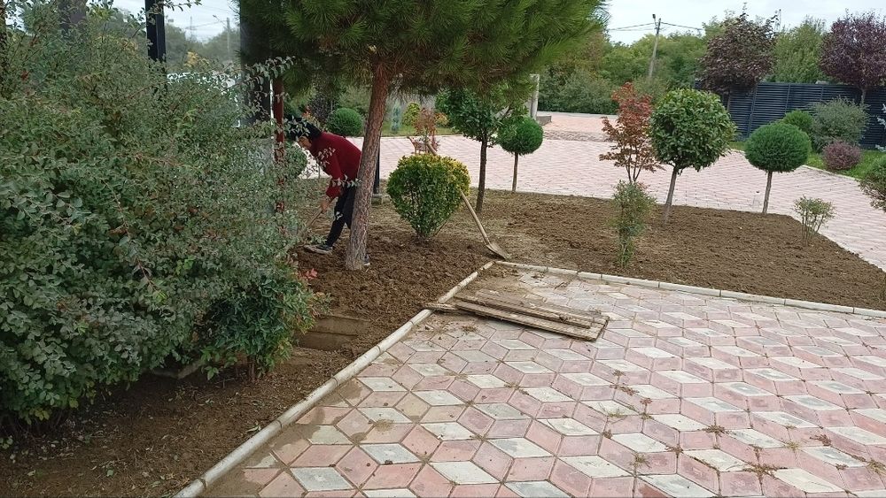 ÎNTREȚINERE ȘI AMENAJARE SPAȚII VERZI – VÂLCEA 

Ofer servicii complete pentru curți, grădini, case de vacanță și spații comerciale
