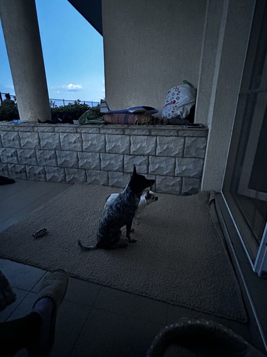 Продава се Едностаен апартамент в Бяла - 55 кв.м за 1000 €/кв.м - Снимка #5