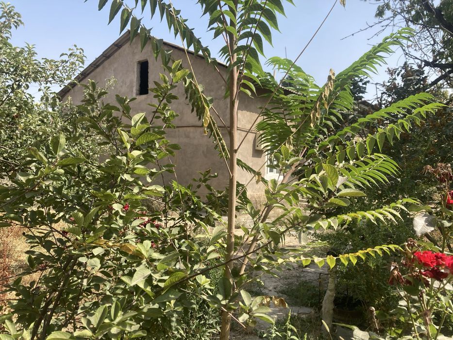 Кибрайда учаска Qibrayda xovli 10sotu joy