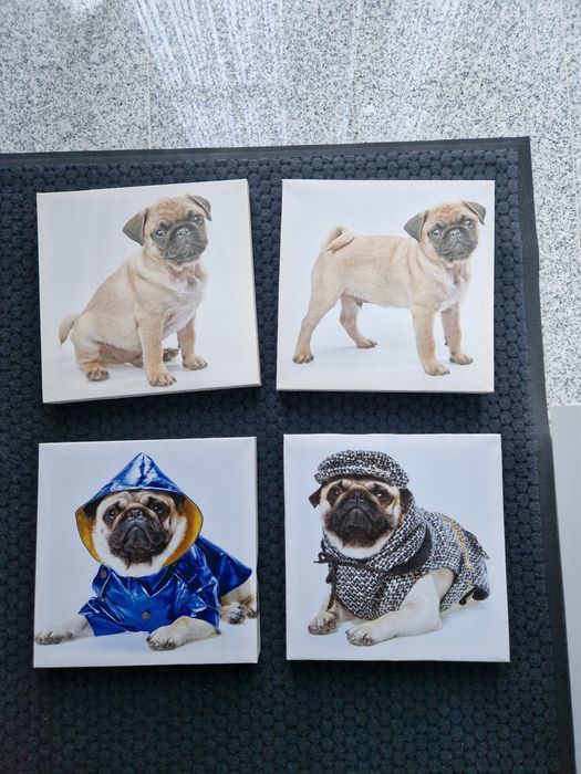 Комплект четири картини  с куче от  Kare