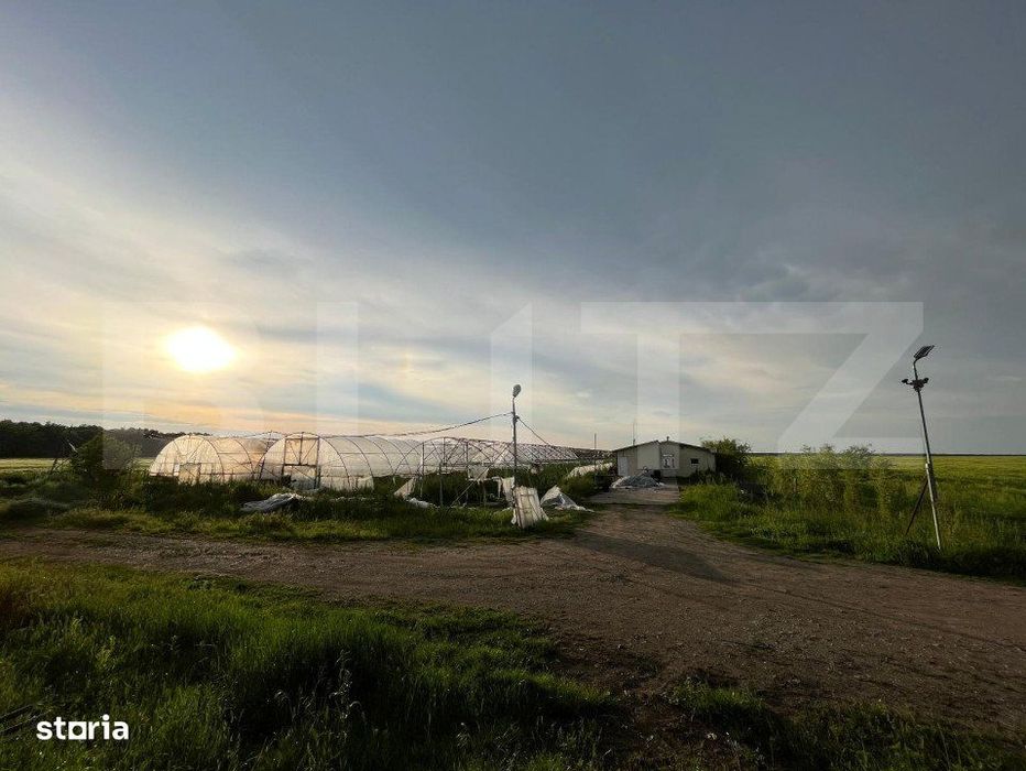 Teren partial intravilan 23.500 mp, apa, curent si supraveghere video,