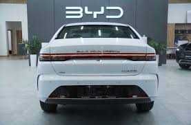 Byd chazor  active
